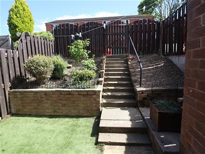 Picture 15